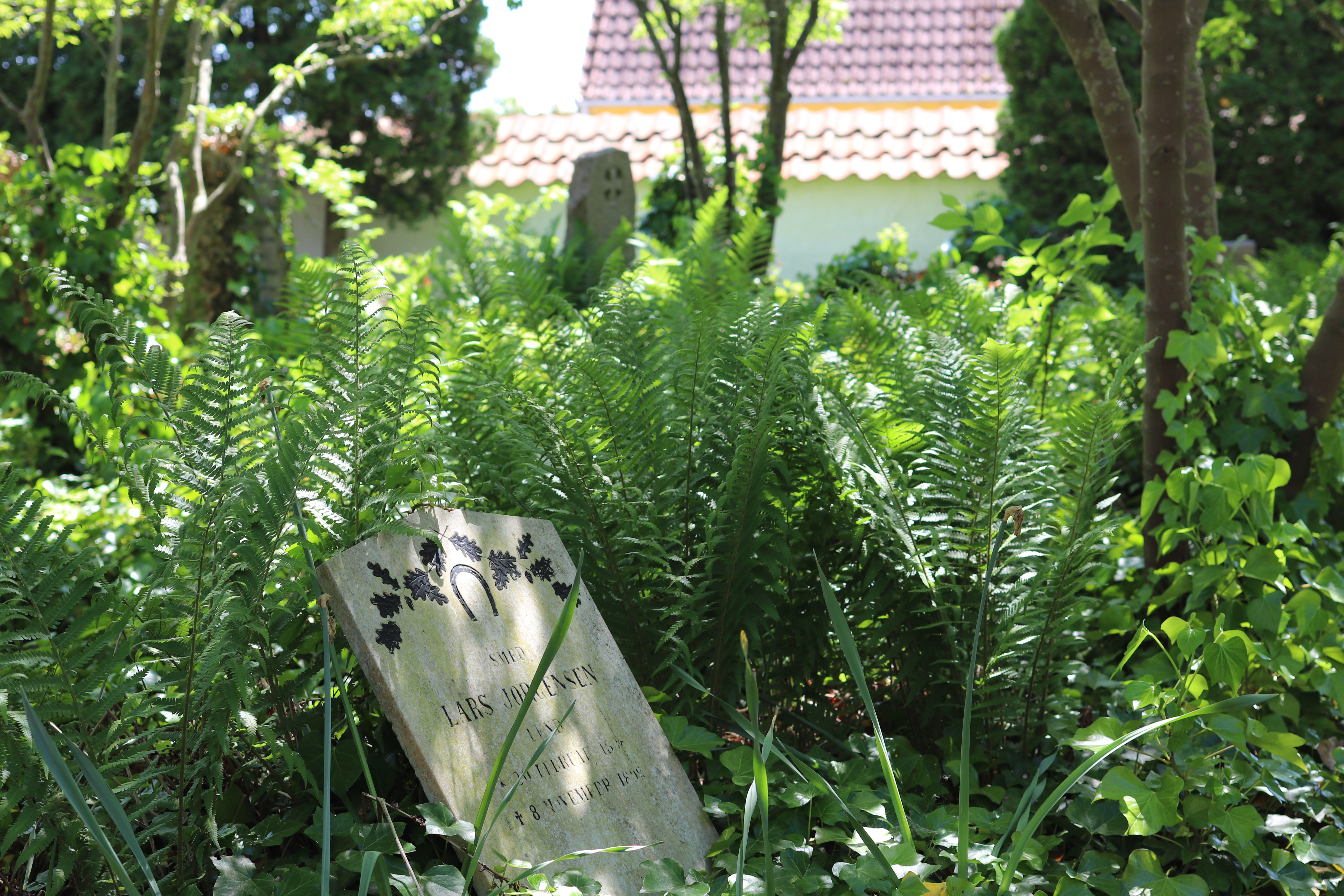 KK2022 Foto Janstøvring