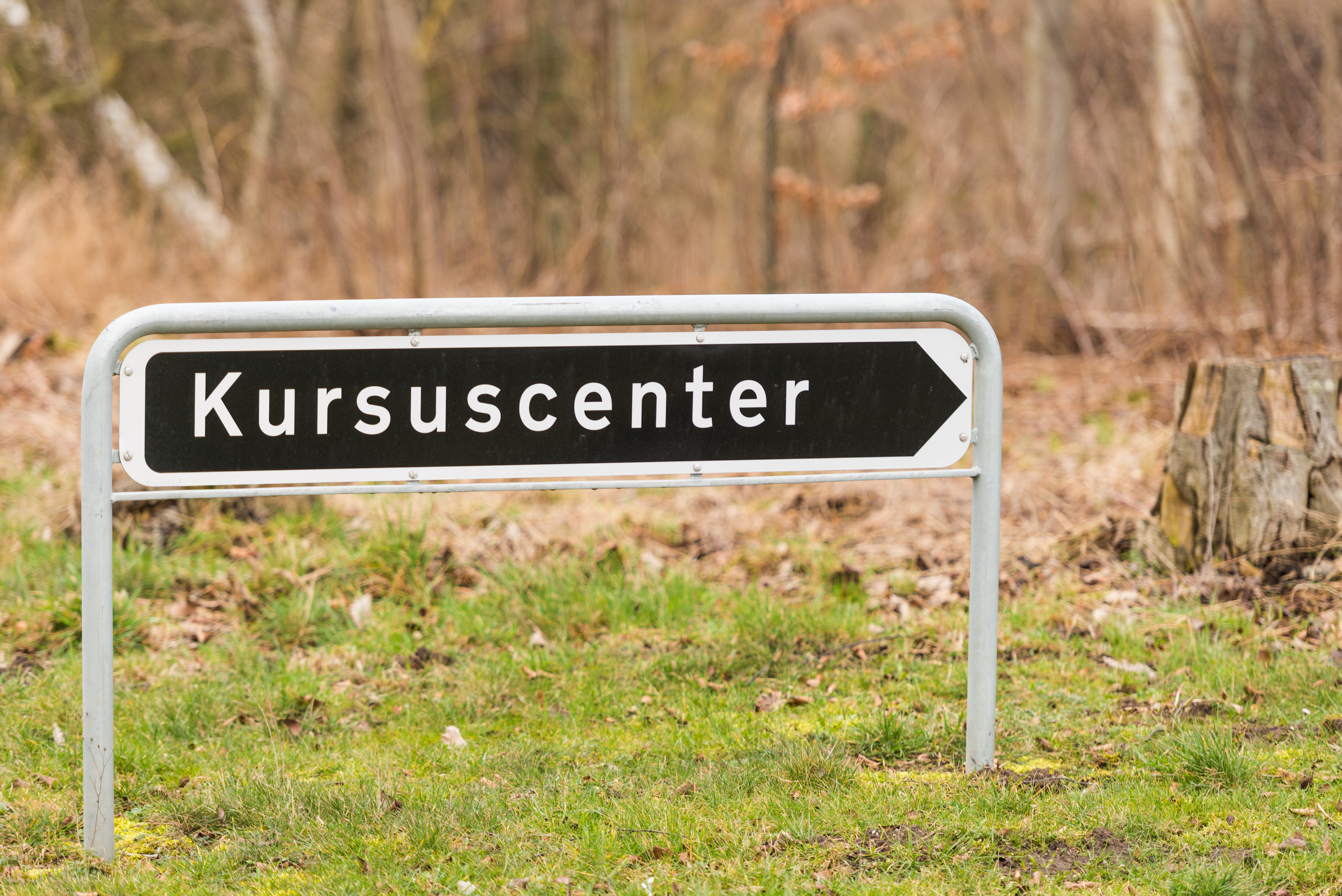 kursuscenter colourbox.jpg
