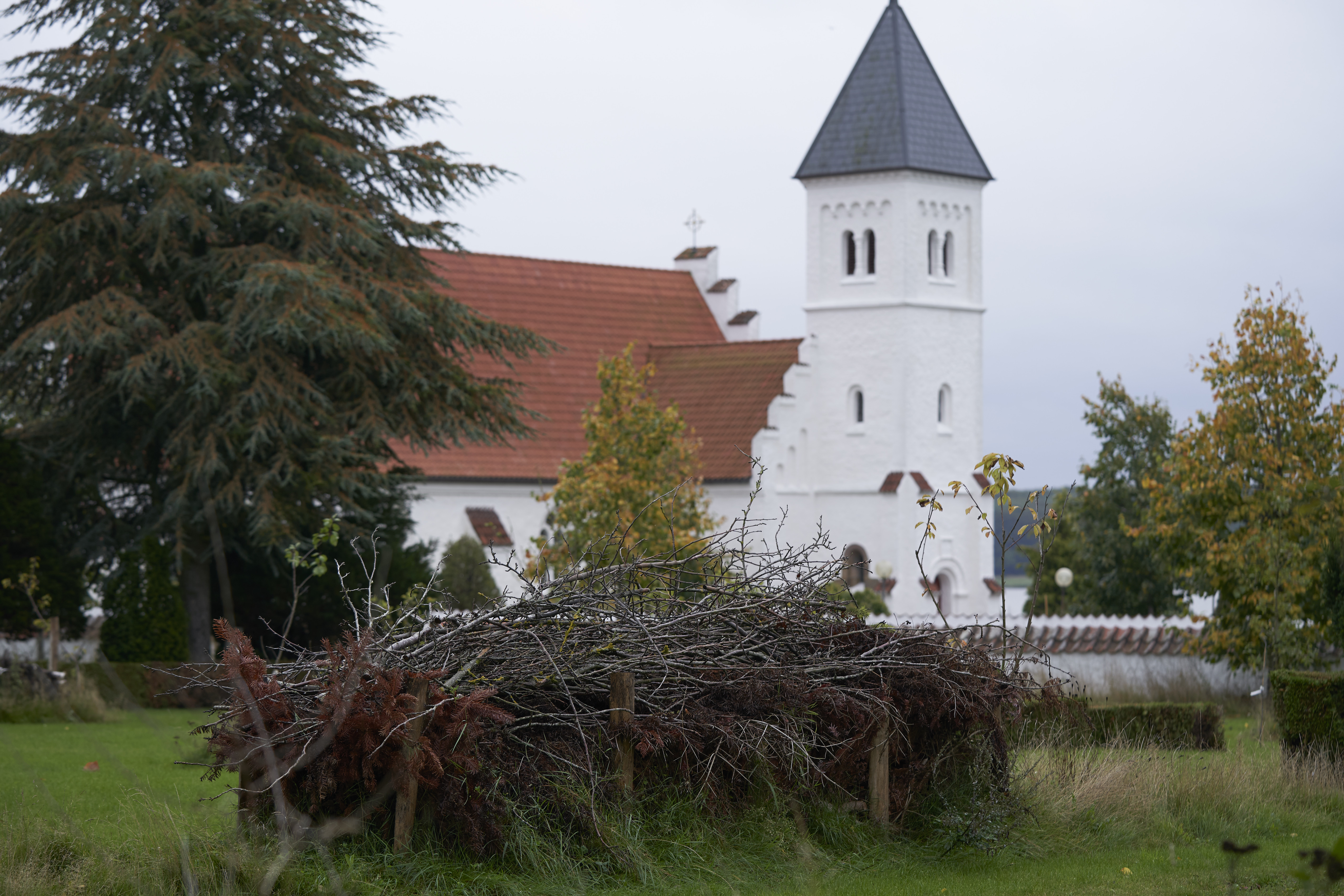 20211001 Bitten Vad La Cour53708