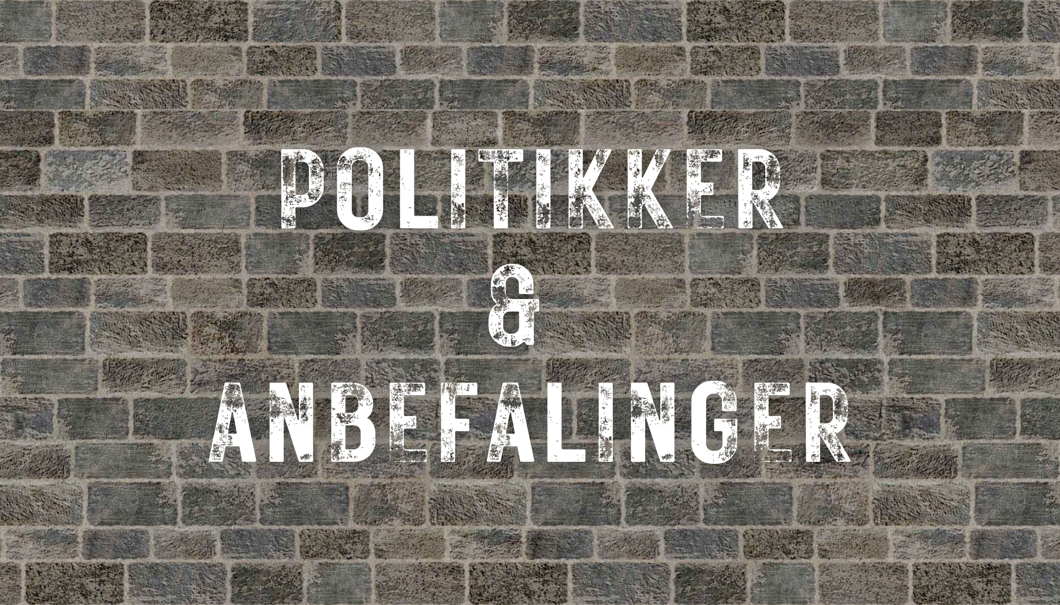 Politikker